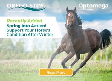 Spring Into Action! Support Your Horse's Condition After Winter!